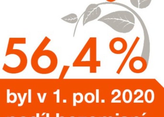56,4 % činil v 1. pol. 2020 podíl bezemisní výroby elektřiny v ČEZ