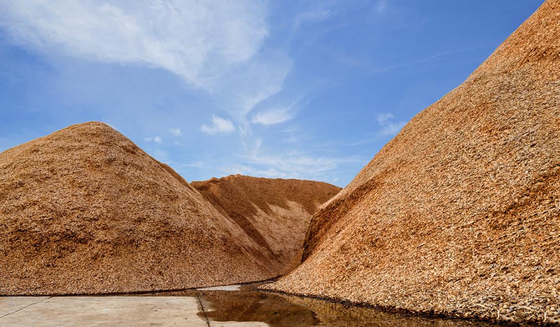 Obsah vody ve spalitelné biomase výrazně ovlivňuje její výhřevnost (Zdroj: © Hor / stock.adobe.com)